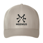 Gorra
