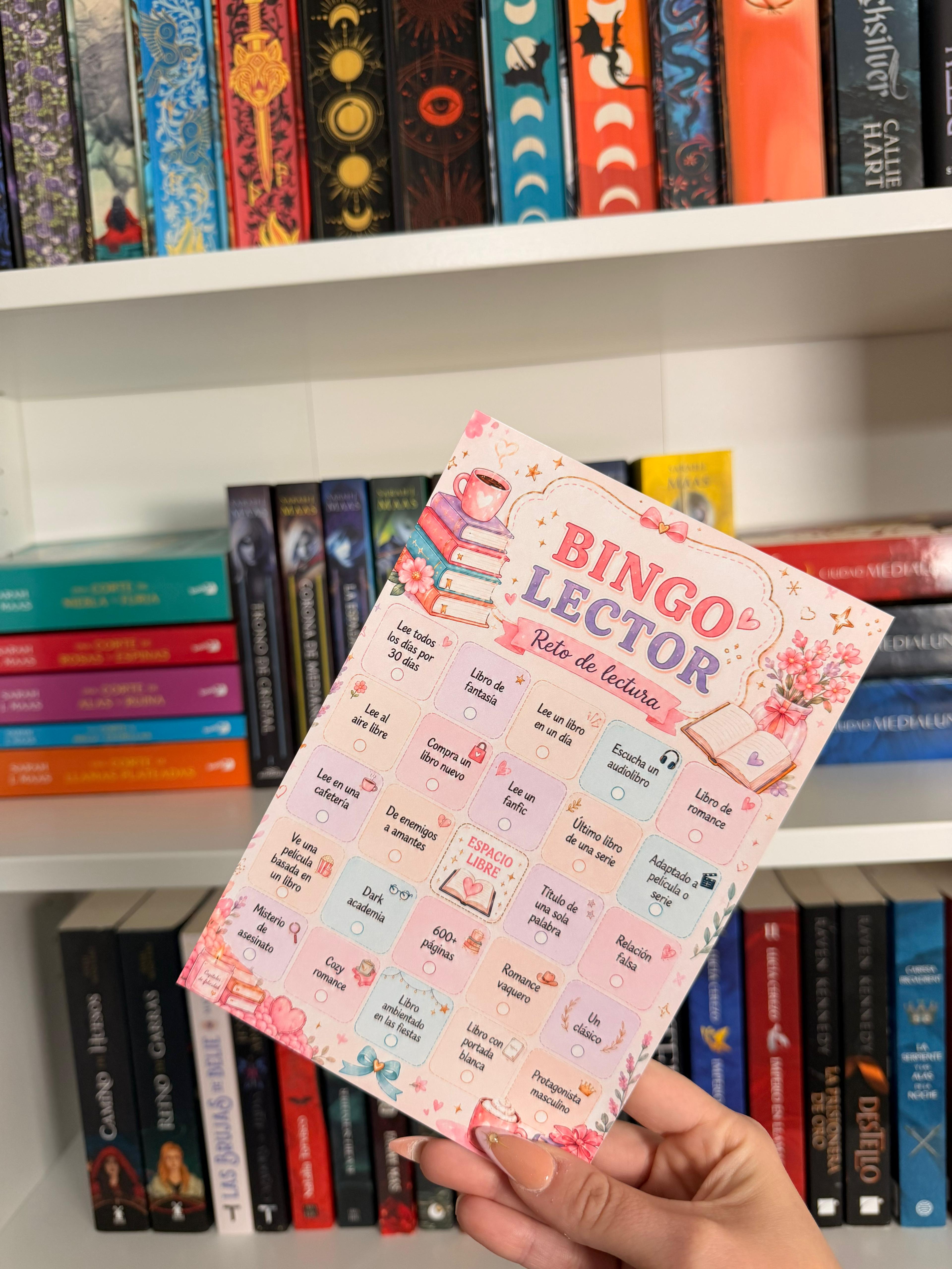 Bingo Lector